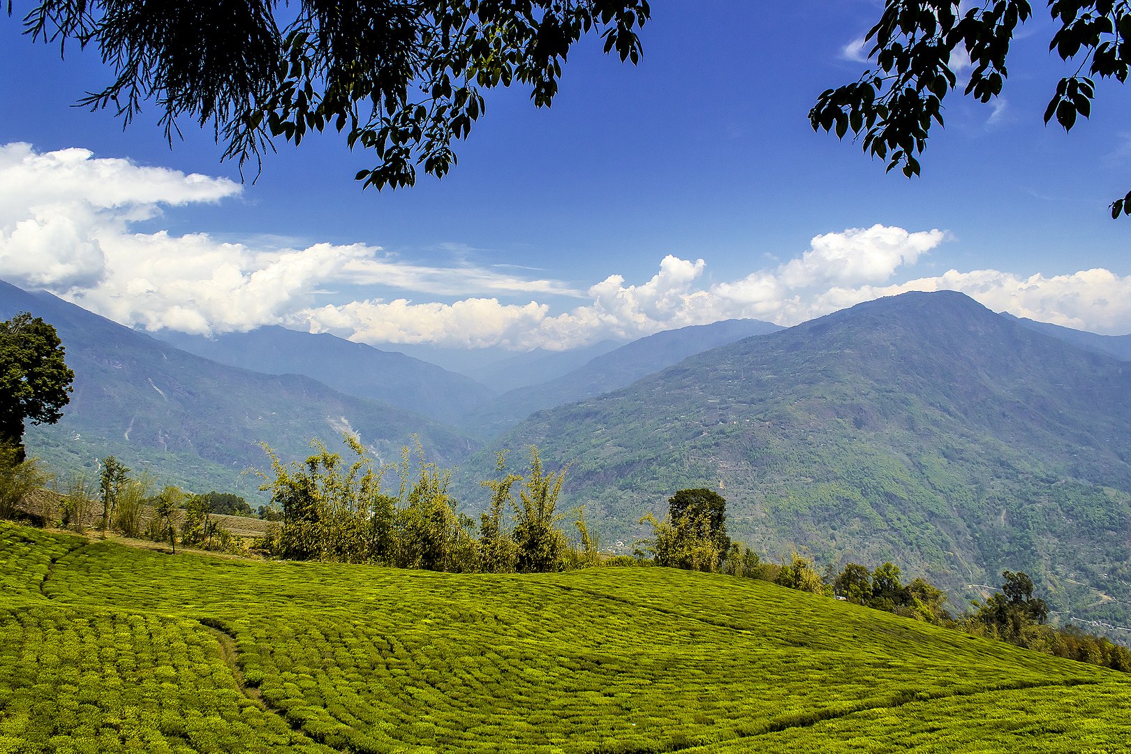 research on cultural heritage of sikkim